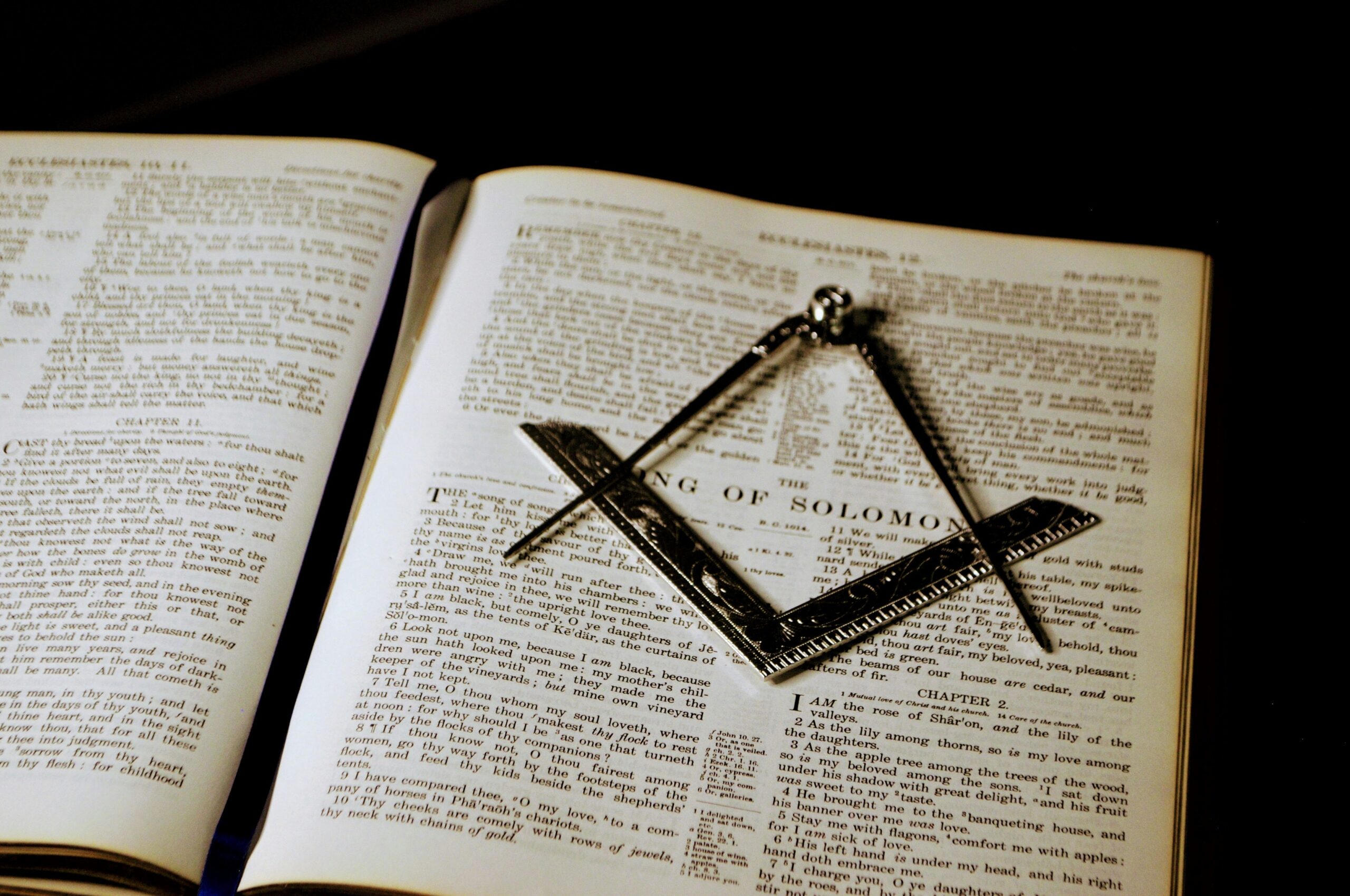 Lodge Robert King Stewart 919